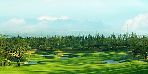 Teddyvalley
